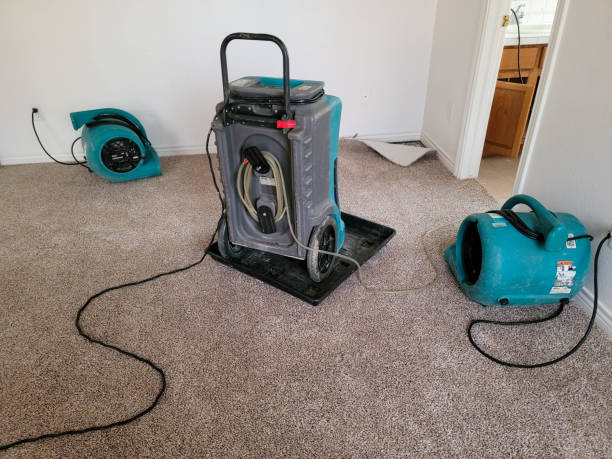 Best Residential water damage restoration  in Mcleansboro, IL