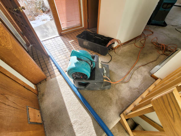 Best 24-hour water damage restoration  in Mcleansboro, IL