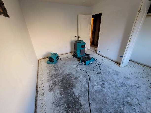 Best Sewage cleanup and water damage restoration  in Mcleansboro, IL