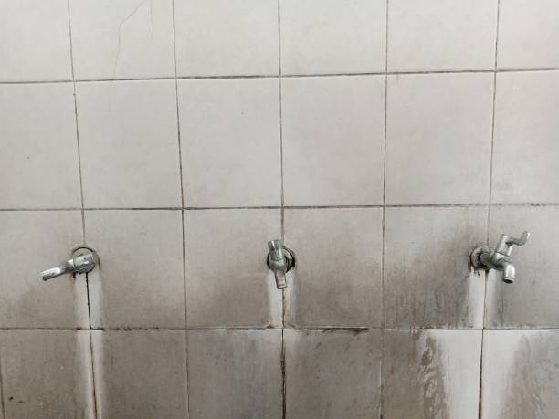 Best Ceiling water damage repair  in Mcleansboro, IL
