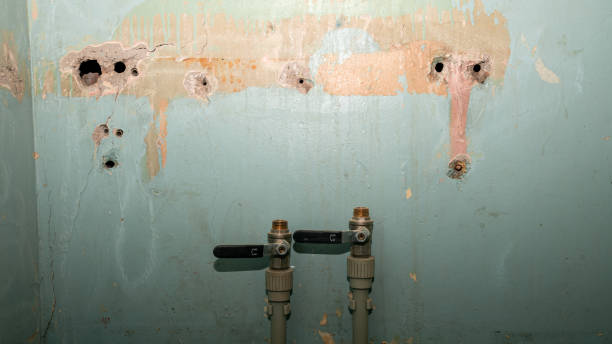 Best Commercial water damage restoration  in Mcleansboro, IL