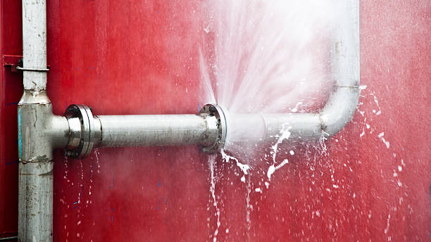 Best Flood damage cleanup  in Mcleansboro, IL
